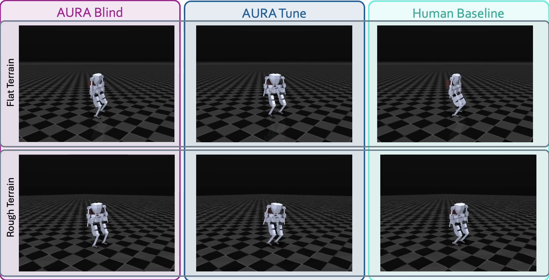 Simulation Rollouts Thumbnail